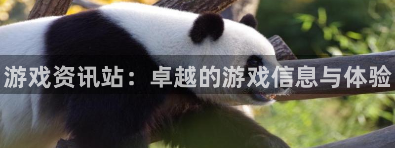 优贝娱乐官网登录：游戏资讯站：卓越的游戏信息与体验