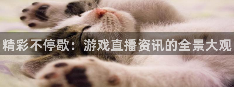 优贝娱乐网页登录入口下载：精彩不停歇：游戏直播资讯的全景大观