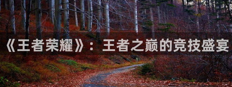 优贝娱乐平台注册开户：《王者荣耀》：王者之巅的竞技盛宴