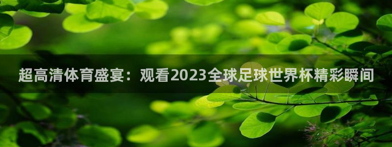 新球体育篮球比分：超高清体育盛宴：观看2023全球足球世界杯精彩瞬间