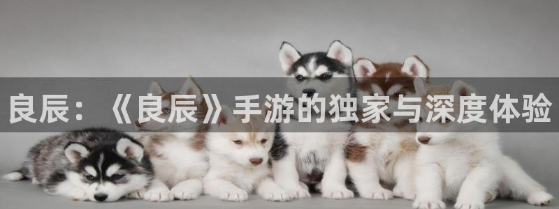 优贝娱乐下载链接：良辰：《良辰》手游的独家与深度体验