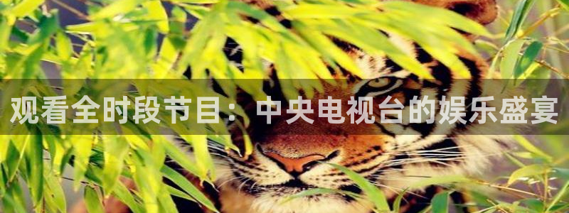 新球体育足球官网：观看全时段节目：中央电视台的娱乐盛宴