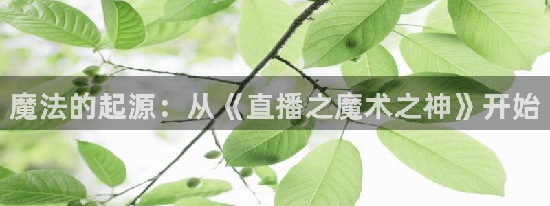 新球体育直播：魔法的起源：从《直播之魔术之神》开始